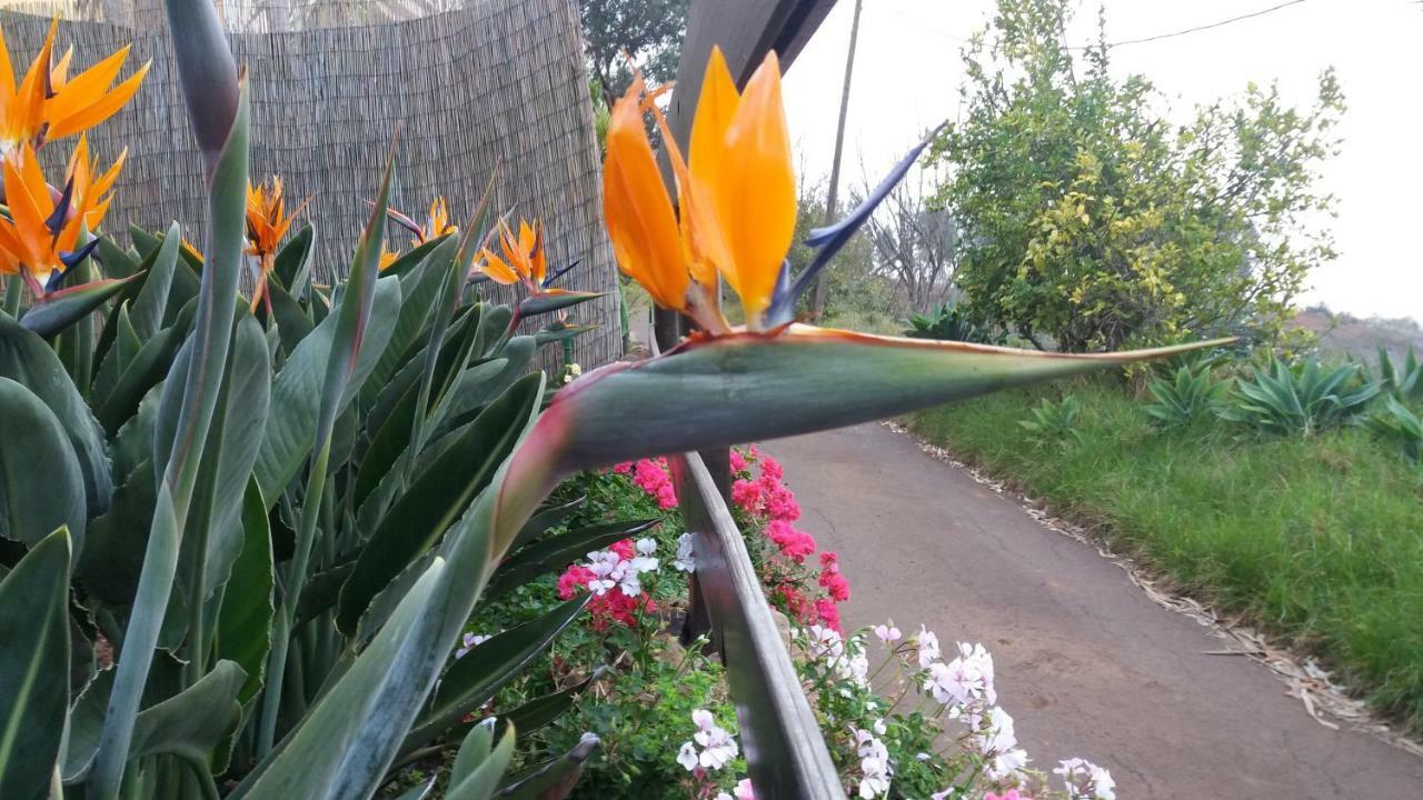 Barrancolaurel Villa Moya  Buitenkant foto